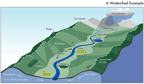 Watershed-Diagram