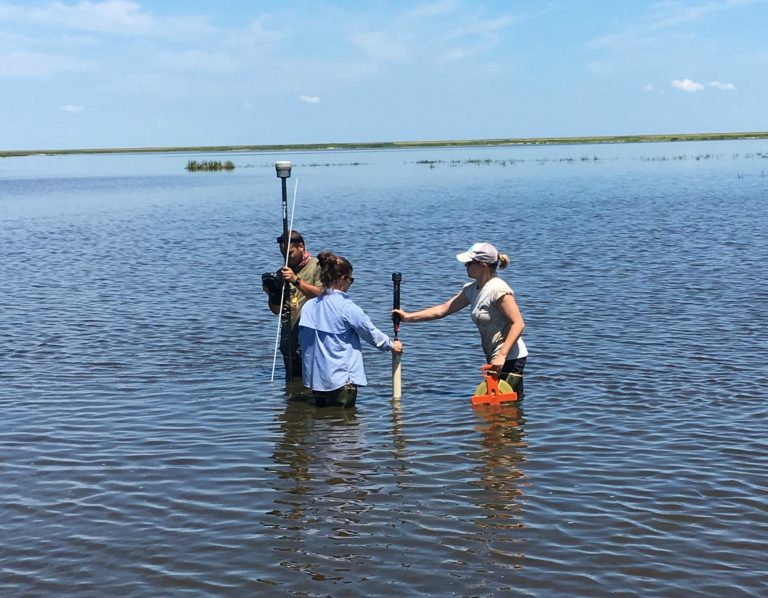 Prime Hook NWR Marsh Restoration Initial results are looking good