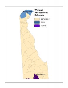 Statewide wetland condition assessment schedule by watershed.