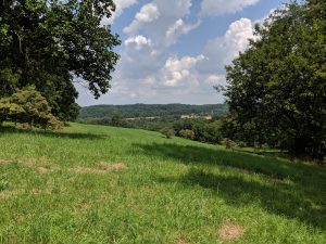 View overlooking the rolling hills in Delaware's Piedmont region.