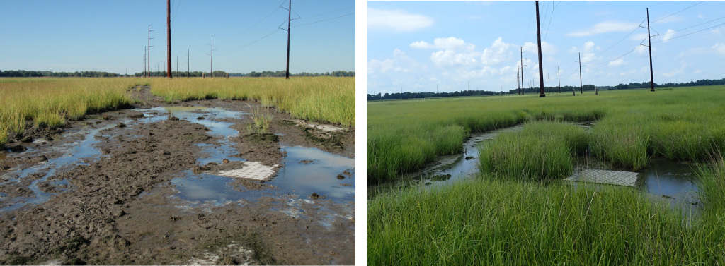 Site post construction in 2015 (left) and 2019 (right). Notice the water paths have remained over the years.