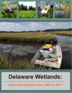 Wetland Acreage Status In Delaware - WMAP Blog - State Of Delaware