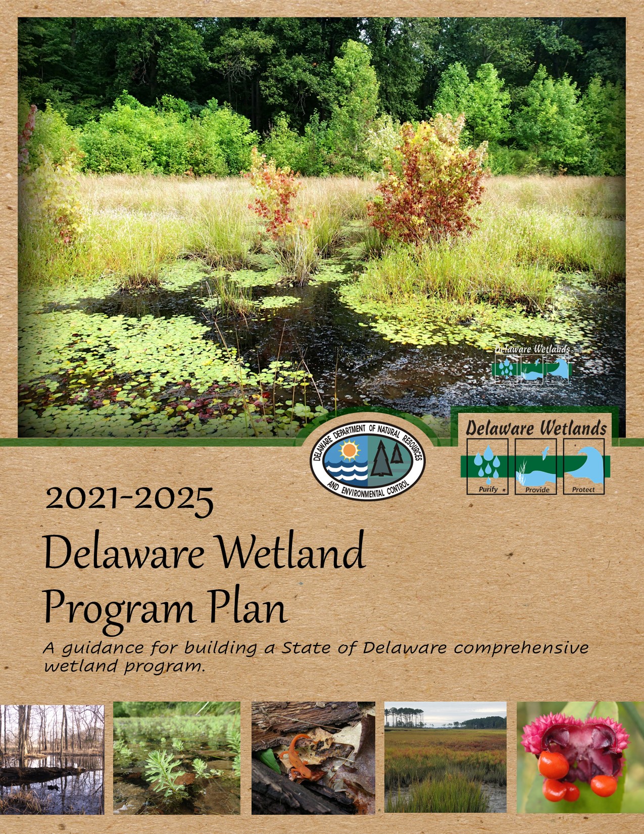 Updating the Delaware Wetland Program Plan for 20212025 WMAP Blog