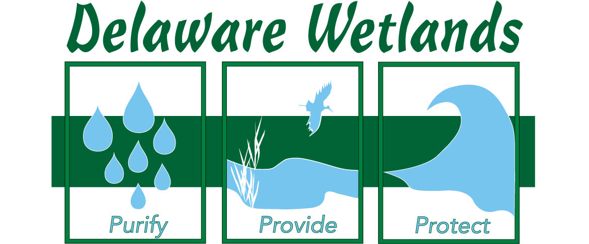 Delaware Wetland Management & Assessment Program